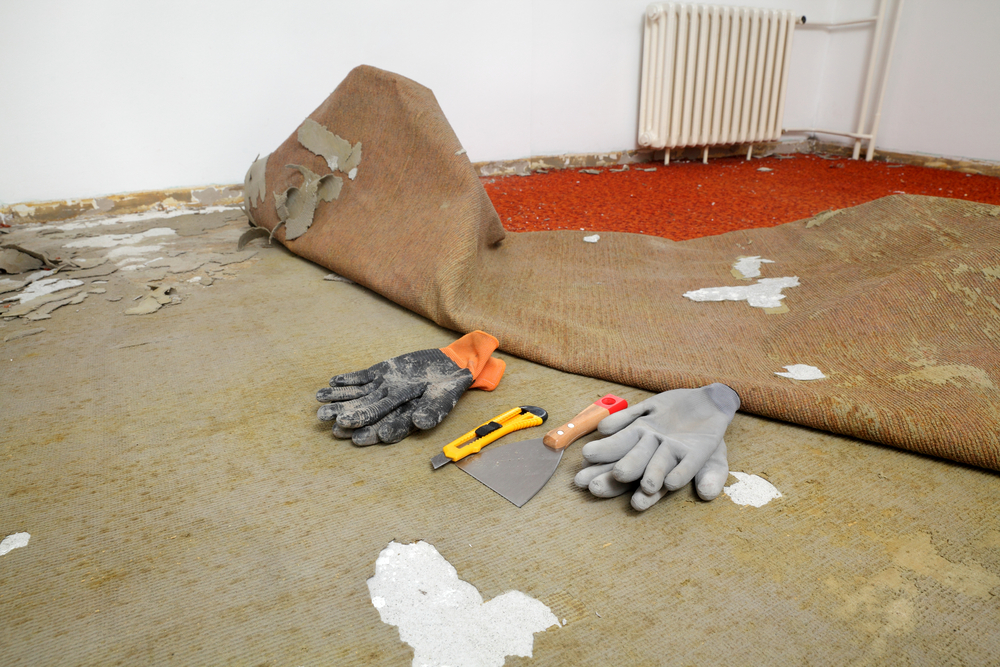 Carpet Land